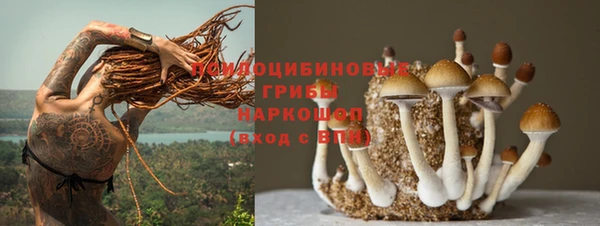 бутират Баксан