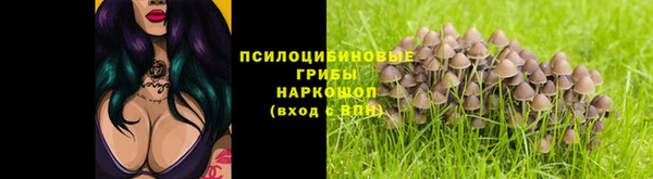 бутират Баксан
