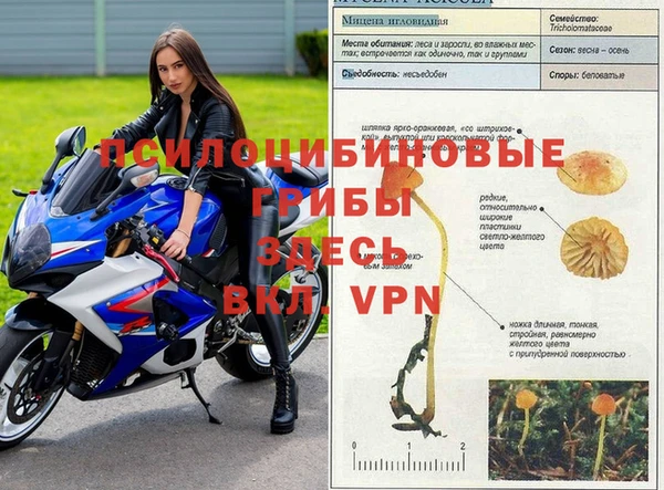 бутират Баксан