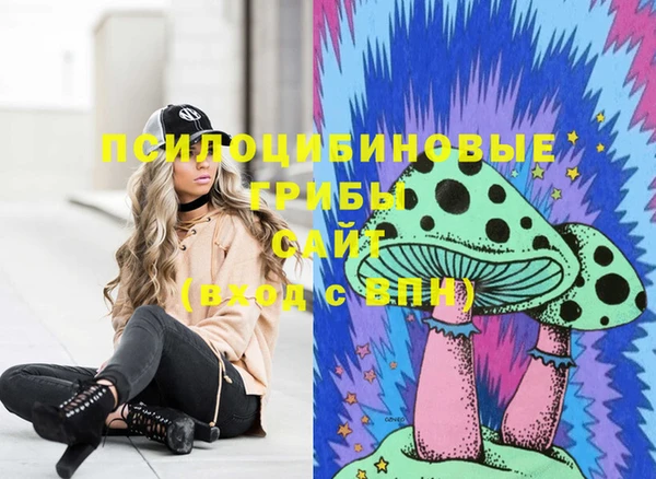 бутират Баксан